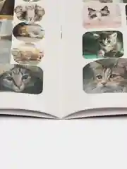 Коричневый раскраска с Наклейками Единорог, Космос, Мотоциклы