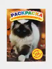 Светло-коричневый раскраска с Наклейками Единорог, Космос, Мотоциклы