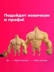 Разноцветный эластичные фитнес-резинки Shark Fit, набор спортивных эспандеров, 5 штук