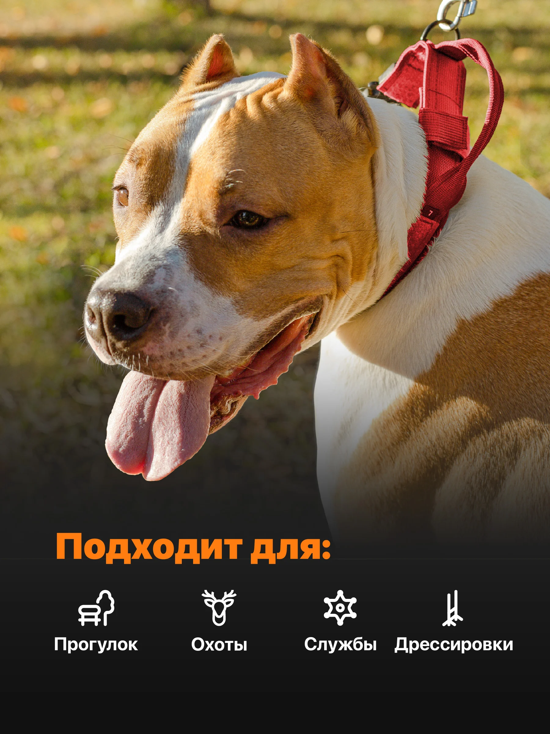 Красный ошейник для собак SSY, для крупных и средних пород с ручкой