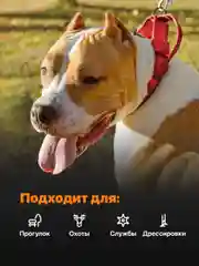 Красный ошейник для собак SSY, для крупных и средних пород с ручкой