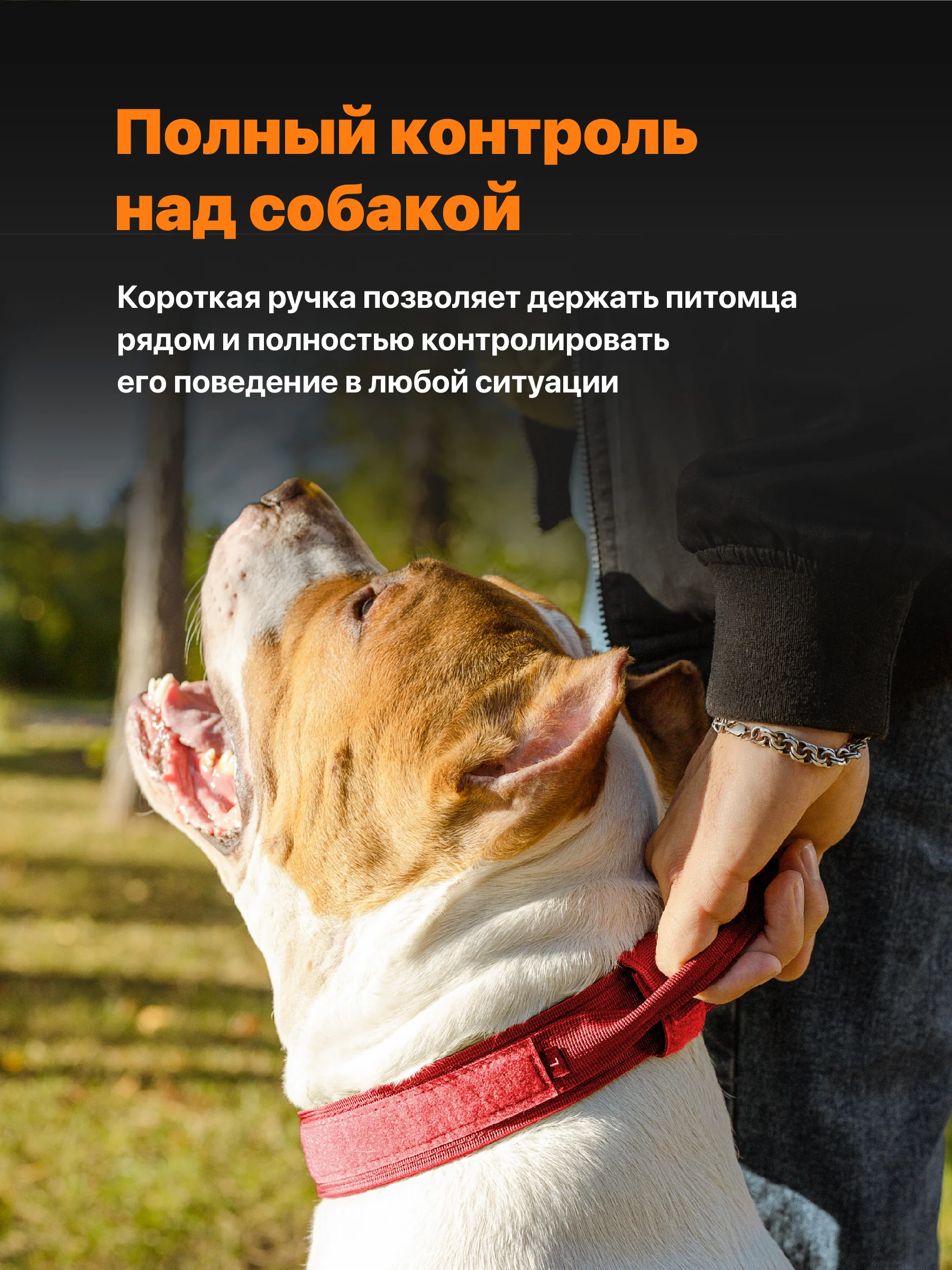 Красный ошейник для собак SSY, для крупных и средних пород с ручкой