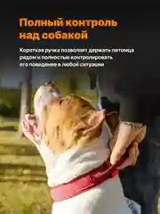 Красный ошейник для собак SSY, для крупных и средних пород с ручкой