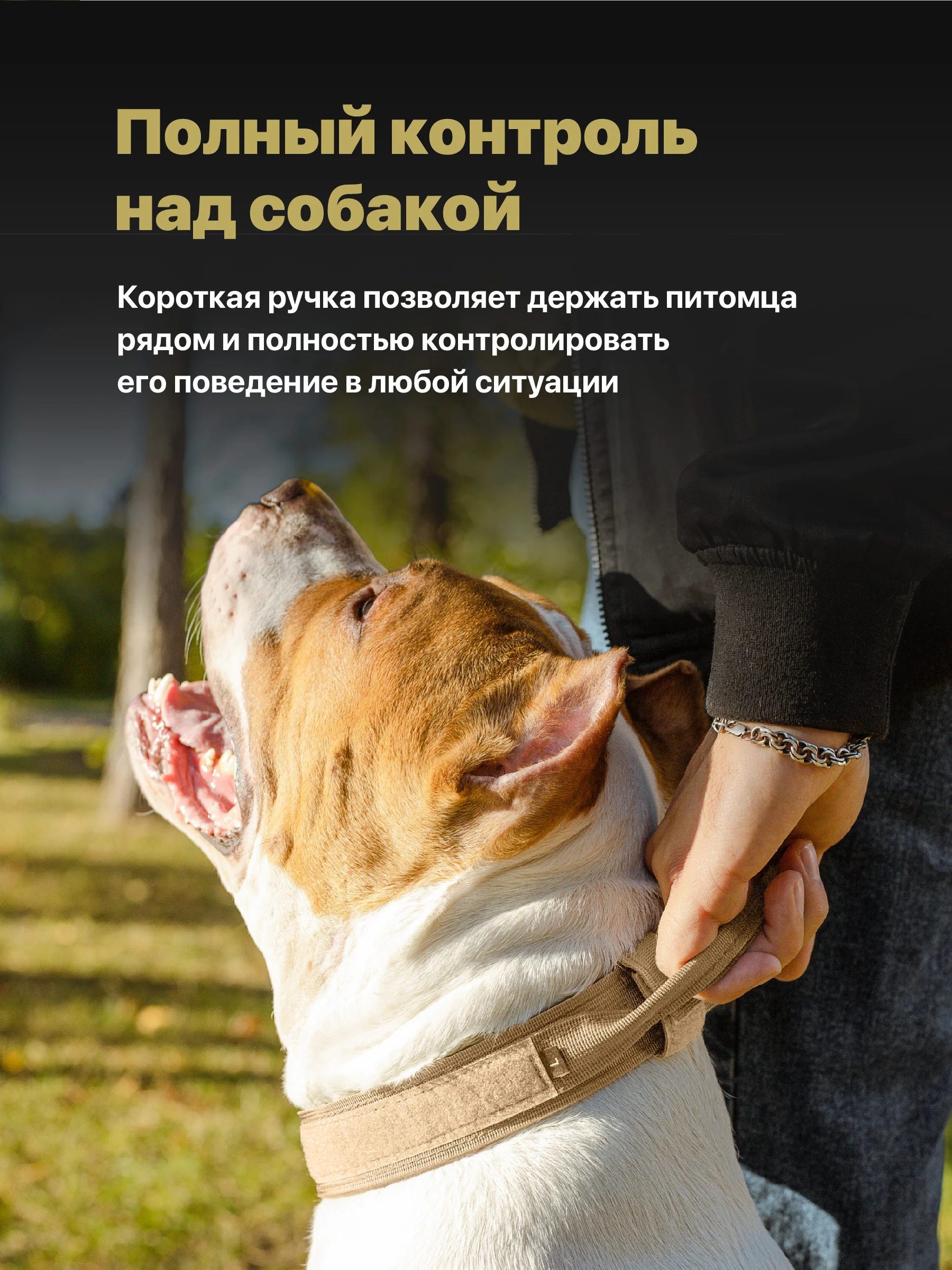 Бежевый ошейник для собак SSY, для крупных и средних пород с ручкой