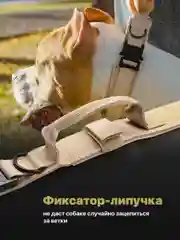 Бежевый ошейник для собак SSY, для крупных и средних пород с ручкой