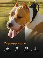 Черный ошейник для собак SSY, для крупных и средних пород с ручкой