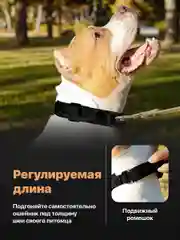 Черный ошейник для собак SSY, для крупных и средних пород с ручкой