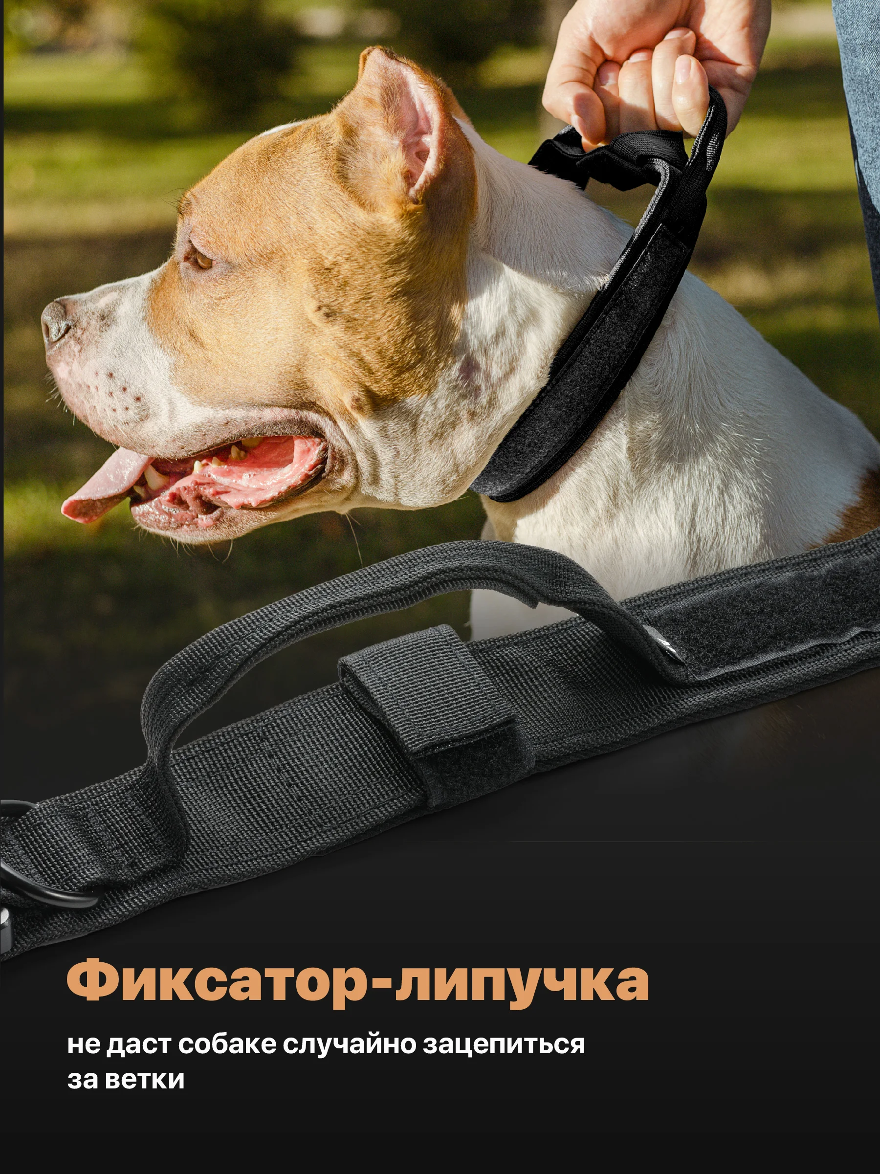 Черный ошейник для собак SSY, для крупных и средних пород с ручкой