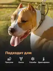 Хаки ошейник для собак SSY, для крупных и средних пород с ручкой
