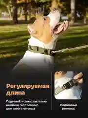 Хаки ошейник для собак SSY, для крупных и средних пород с ручкой