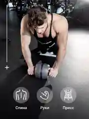 Ролик для пресса Shark Fit, колесо для спорта и фитнеса