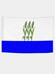 Флаг города Камышин 135х90см