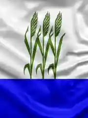 Флаг города Камышин 135х90см