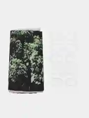 Молочный штора-занавес для ванной комнаты, 3D, с кольцами, 180 х 180 см