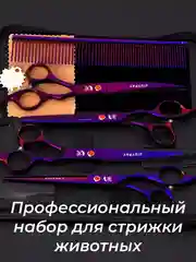 Пурпурный набор цветных ножниц для стрижки волос и шерсти домашних животных из нержавеющей стали