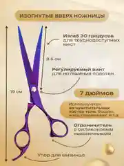 Пурпурный набор цветных ножниц для стрижки волос и шерсти домашних животных из нержавеющей стали