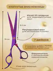 Пурпурный набор цветных ножниц для стрижки волос и шерсти домашних животных из нержавеющей стали