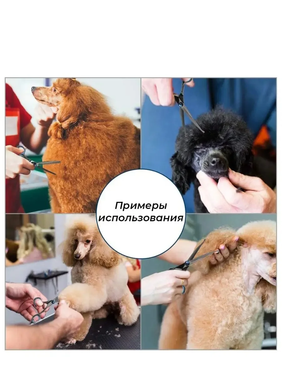 Розовый набор цветных ножниц для стрижки волос и шерсти домашних животных из нержавеющей стали