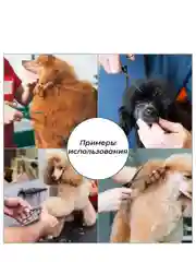 Розовый набор цветных ножниц для стрижки волос и шерсти домашних животных из нержавеющей стали