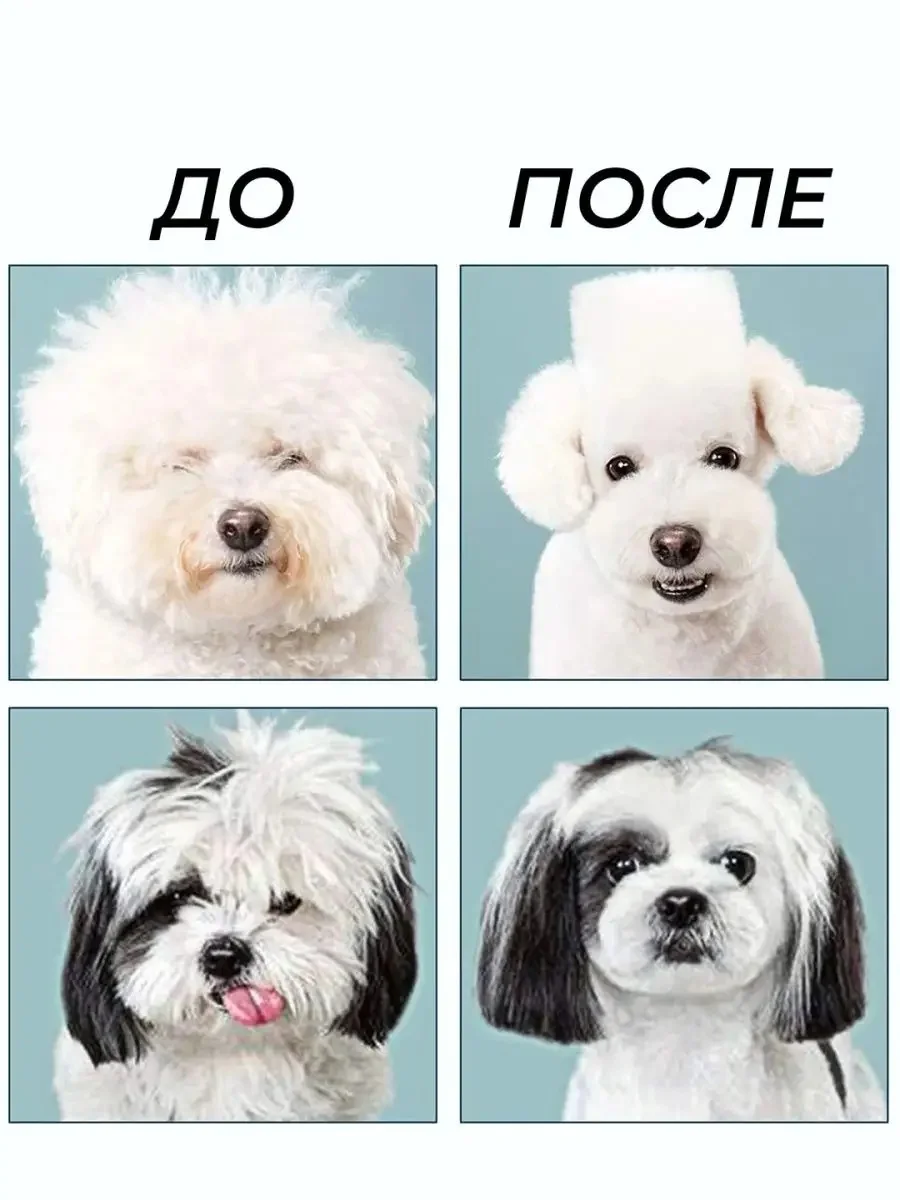 Розовый набор цветных ножниц для стрижки волос и шерсти домашних животных из нержавеющей стали