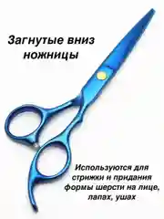 Синий набор цветных ножниц для стрижки волос и шерсти домашних животных из нержавеющей стали