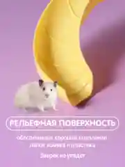 Клетка для хомяка джунгарского SSY, мышей и мелких грызунов