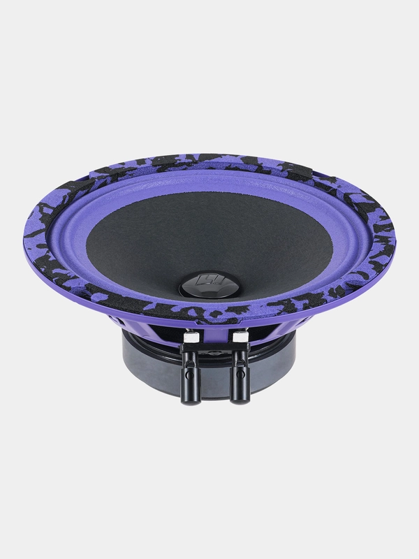 Колонки автомобильные 16см DL Audio Piranha 165 V.2