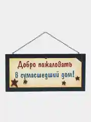 Табличка интерьерная "Добро пожаловать в сумасшедший дом!"