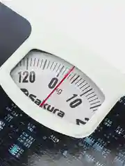 Индиго весы напольные механические SA-5000, 130кг