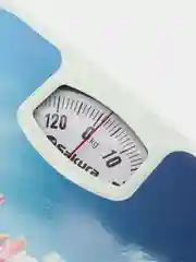 Фуксия весы напольные механические SA-5000, 130кг
