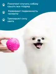 Розовый игрушки для собак мелких пород и щенков SSY, игрушки для маленьких собак, набор
