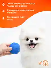 Зеленый игрушки для собак мелких пород и щенков SSY, игрушки для маленьких собак, набор