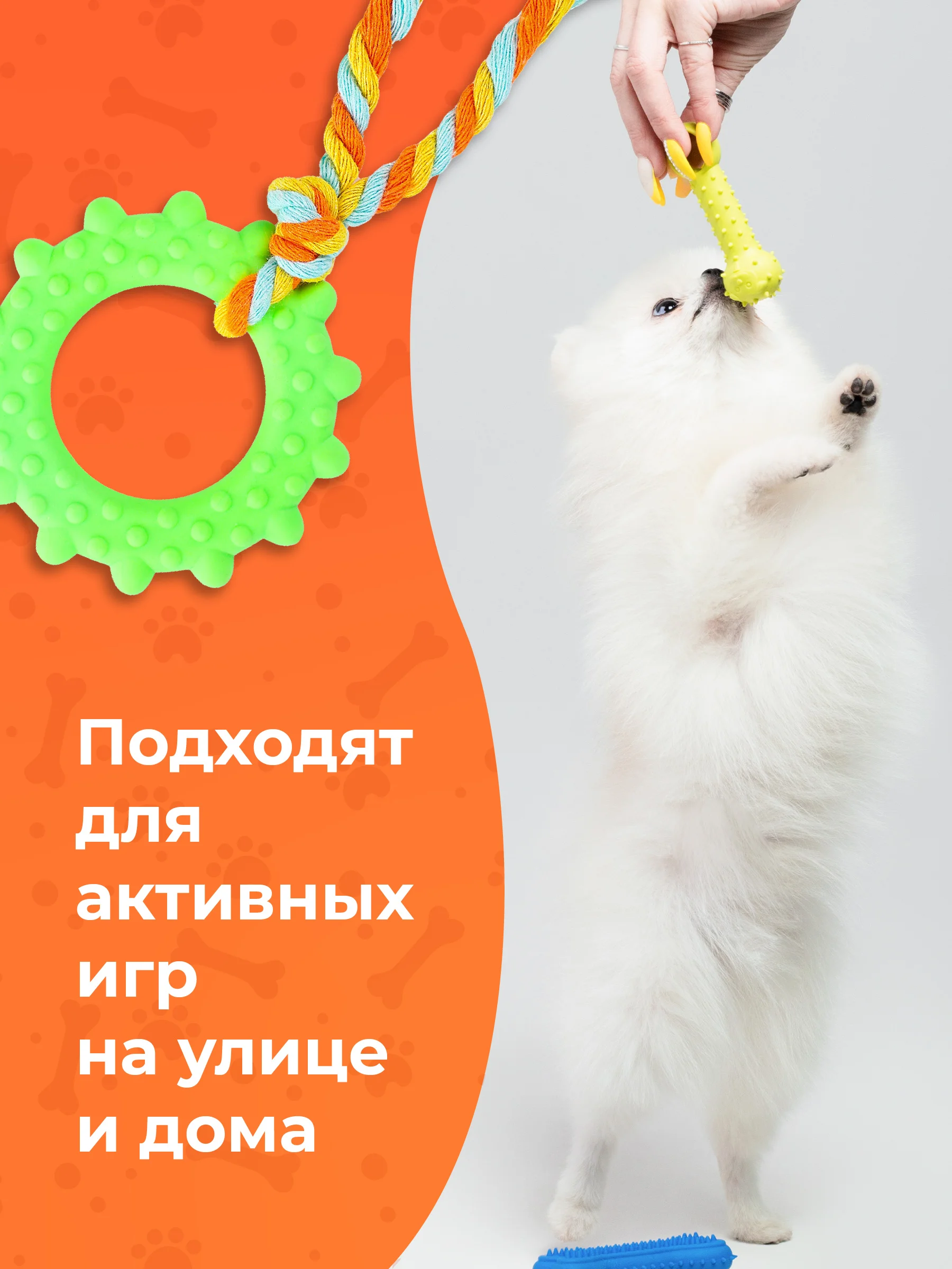 Зеленый игрушки для собак мелких пород и щенков SSY, игрушки для маленьких собак, набор