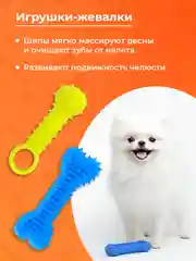 Зеленый игрушки для собак мелких пород и щенков SSY, игрушки для маленьких собак, набор