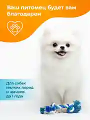 Розовый игрушки для собак мелких пород и щенков SSY, игрушки для маленьких собак, набор