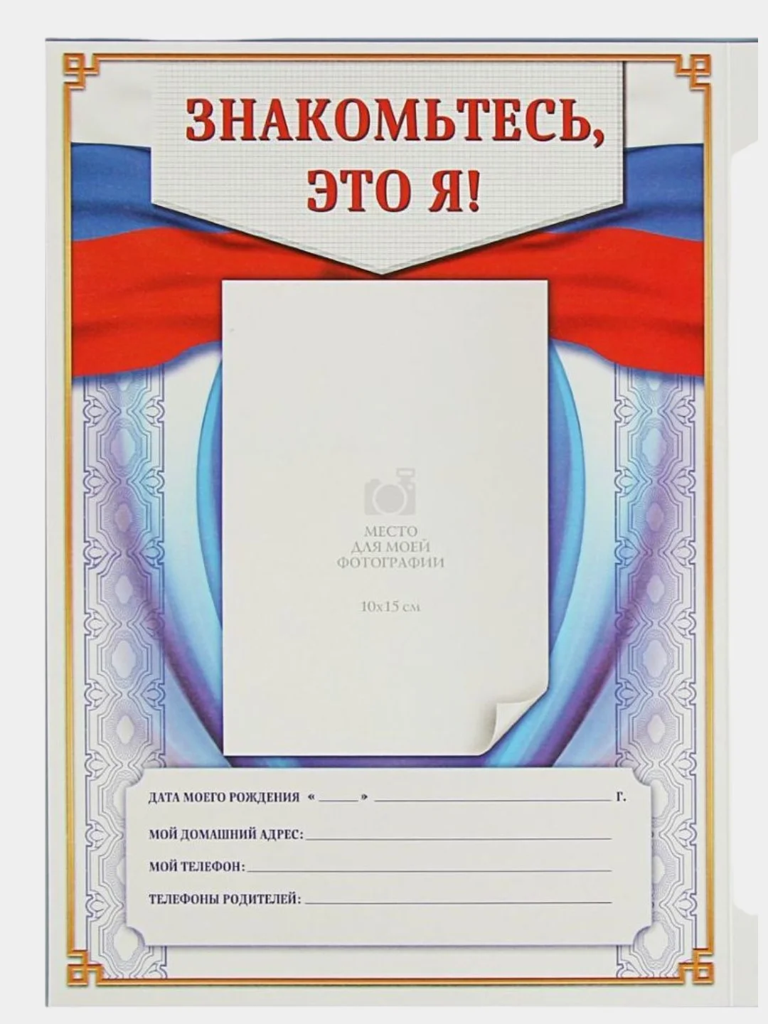 Портфолио в папке с креплением "Школьника": папка на кольцах +10 листов, формат А4