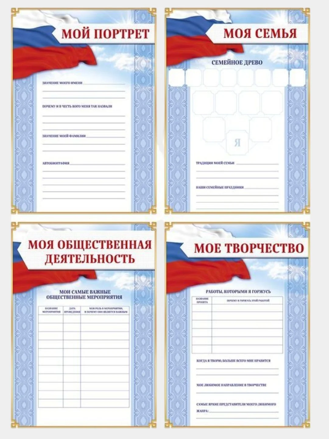 Портфолио в папке с креплением "Школьника": папка на кольцах +10 листов, формат А4