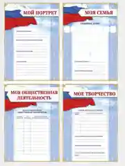 Портфолио в папке с креплением "Школьника": папка на кольцах +10 листов, формат А4
