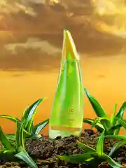 Очищающая пенка для лица с алоэ вера Holika Holika Aloe Cleansing Foam, 150 мл