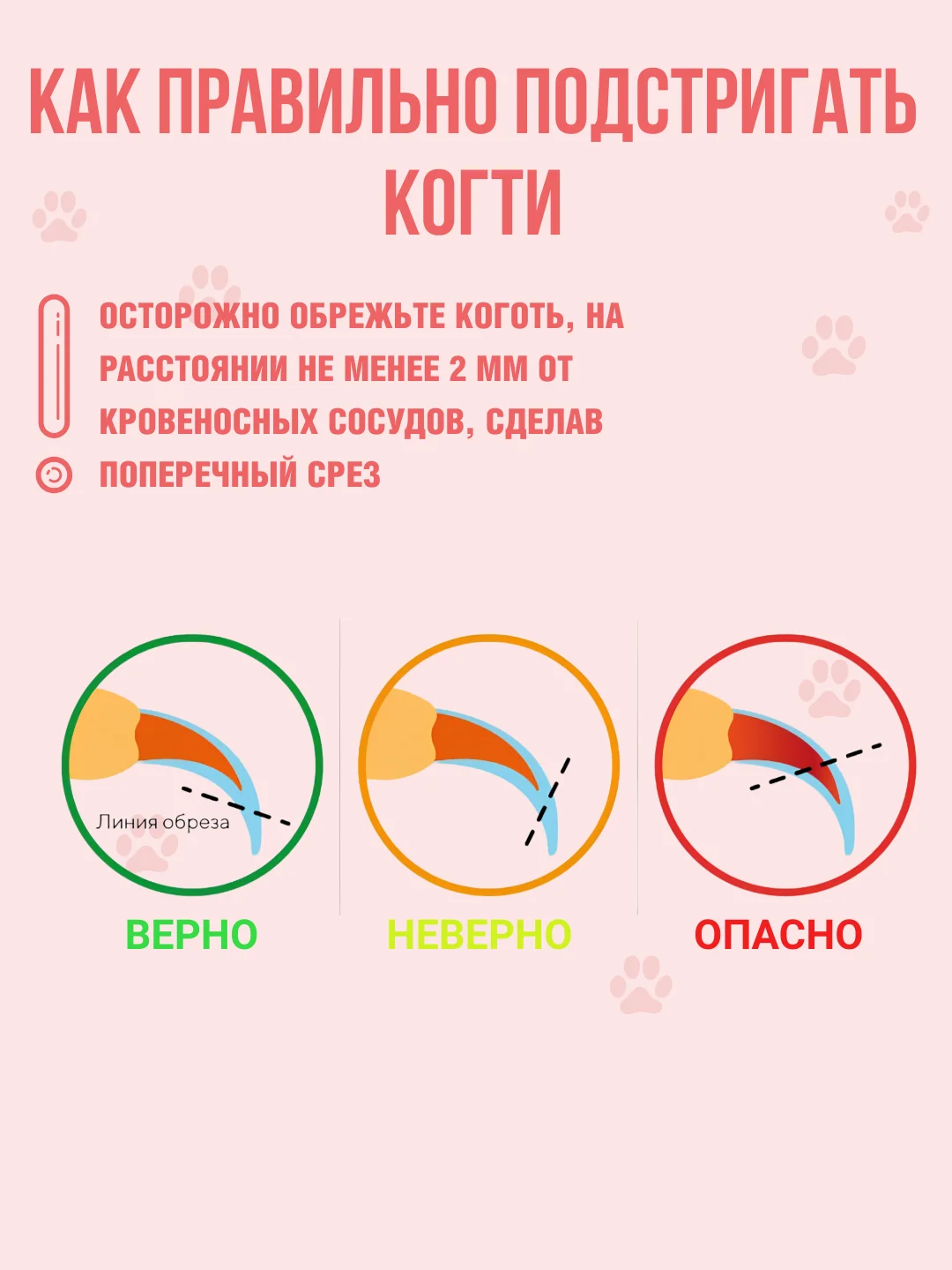 Красный когтерез-ножницы с ограничителем для кошек и собак малых пород, груминг, стрижка когтей