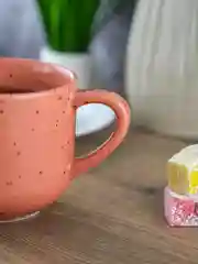 Бордовый кружка Repast Lifestyle TERRACOTTA 400 мл