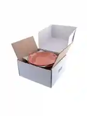 Коралловый чайная пара Repast Lifestyle TERRACOTTA 4 предмета