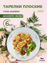 Набор тарелок Thun Констанция серый орнамент отводка платина 24 см(6 шт)