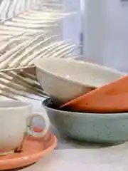 Коралловый салатник Repast "Lifestyle", 0,8 л, 2 шт