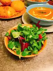 Коралловый салатник Repast "Lifestyle", 0,8 л, 2 шт
