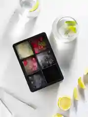 Форма для льда с крышкой Shiny Kitchen, силиконовая