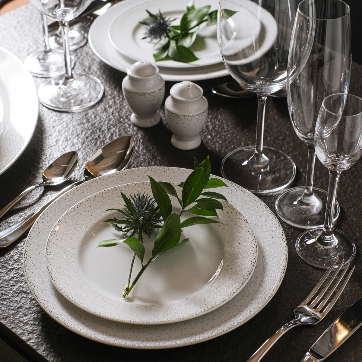 Белый набор плоских тарелок 25 см Repast (6 шт)