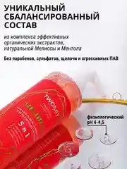 Гель для интимной гигиены Мелисса&Mентол с дозатором в комплекте, 250 мл