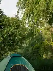 Зеленый палатка туристическая, самораскладывающаяся, автоматическая
