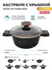 Черный кастрюля со стеклянной крышкой Neoflam Noblesse 2,2 л, 20 см